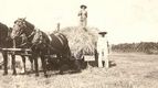 donus-c-and-josie-in-hay-wa.jpg