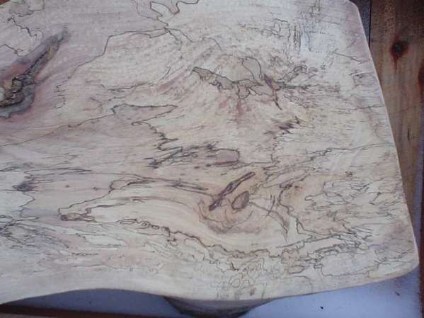 spalted pecan
