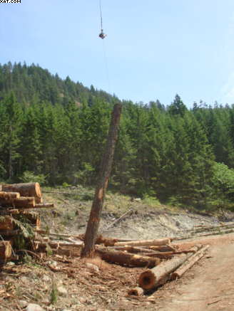 heli logging
