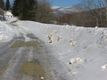 snowbanks2008.jpg