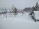 snow-March26-2023.jpg