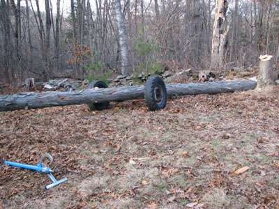 Hickory Joist 3: loaded
