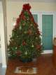 2010_Christmas_tree.JPG