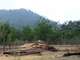 cs_chainsaw_mill_site2.jpg