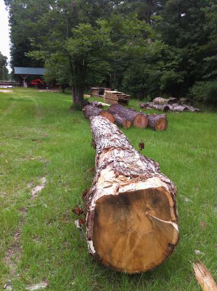 nice log
