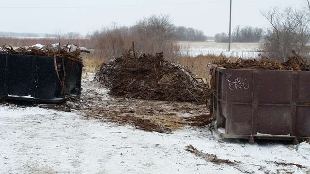 cedar bark - loading dumpster bins
