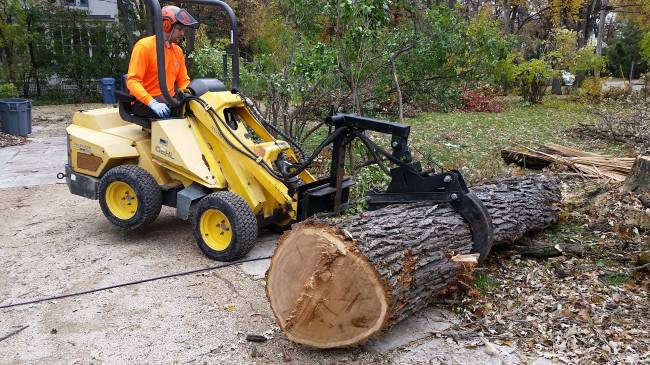 October snowstorm, 2019
Gehl loader for yard work
