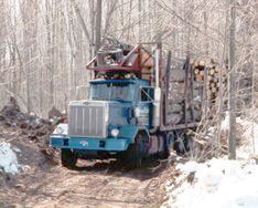 Hauling Log Load Out.jpg