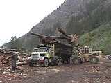 Log truck.jpg