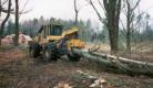 John Deere 548 G Grapple Skidding Tree Length.jpg