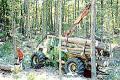 Timberjack 230C Forwarder, older model.jpg