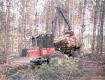 Valmet Forwarder in Pine.jpg