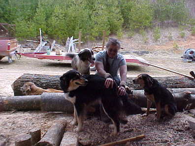 logdogs
