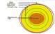 stem-cross-section.jpg