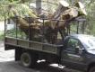 s log truck.jpg