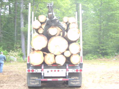 log truck 06
white pine,big logs
