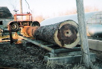 Big Poplar on mill
Poplar log destined to be window bucks in a log home
