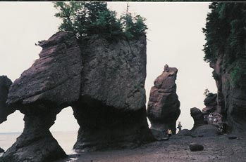 Hopewell Rock - Rocks of Love
These Hopewell rock formations are the most famous and known as the rocks of love. They appear to be a couple embraced in a kiss.
Keywords: Hopewell rock love