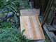 opt-12_slabs-woodshed-ramp_2854.JPG