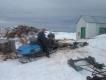 skidoo hauling 006.jpg