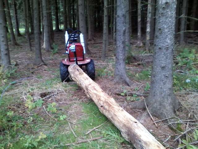 Worlds Smallest Skidder pic2
Wheel Horse skidding pine.
