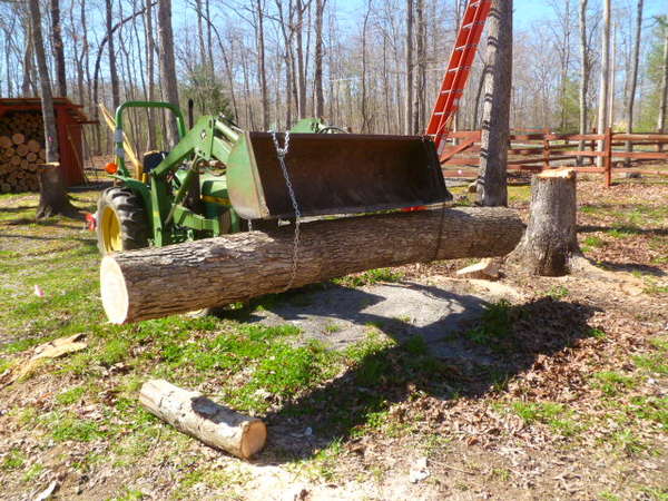 Hefting 11' logs w/tractor
