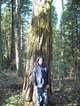 2012-1104_005_Redwood_Size.jpg