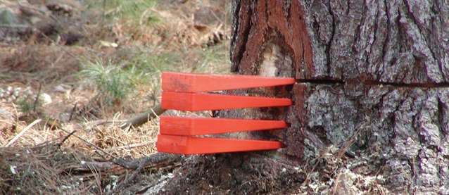 8-10"  USA HARD logging Felling Bucking Tree Forestry Falling Spiked Wedges 
