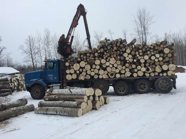 Load going out always makes for a good day when your just playing on the tractor.
