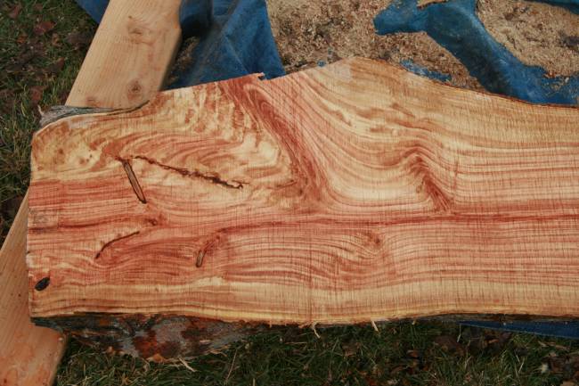 First try at cutting a high quality wood on my Logosol M8
This came from a honey locust that was growing in our back yard. I put some water on it to simulate what it might look like when finish is applied.
Keywords: honey locust