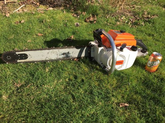 Adding another Stihl to the herd . in Chainsaws