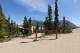 Carcross_Desert.jpg