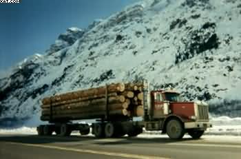 How Many Board Feet in a Log Truck Load